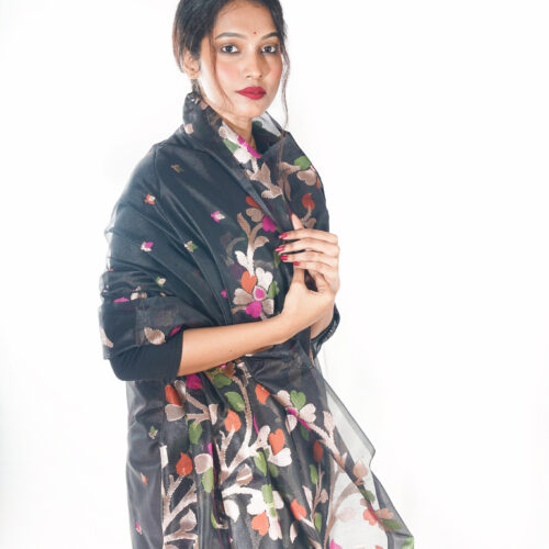Organza Muslin Saree