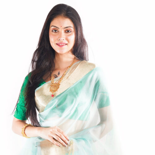 Organza Banarasi Saree