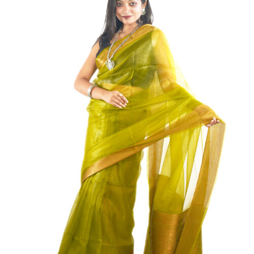 Organza Saree